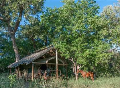 Tuli Private Game Reserve